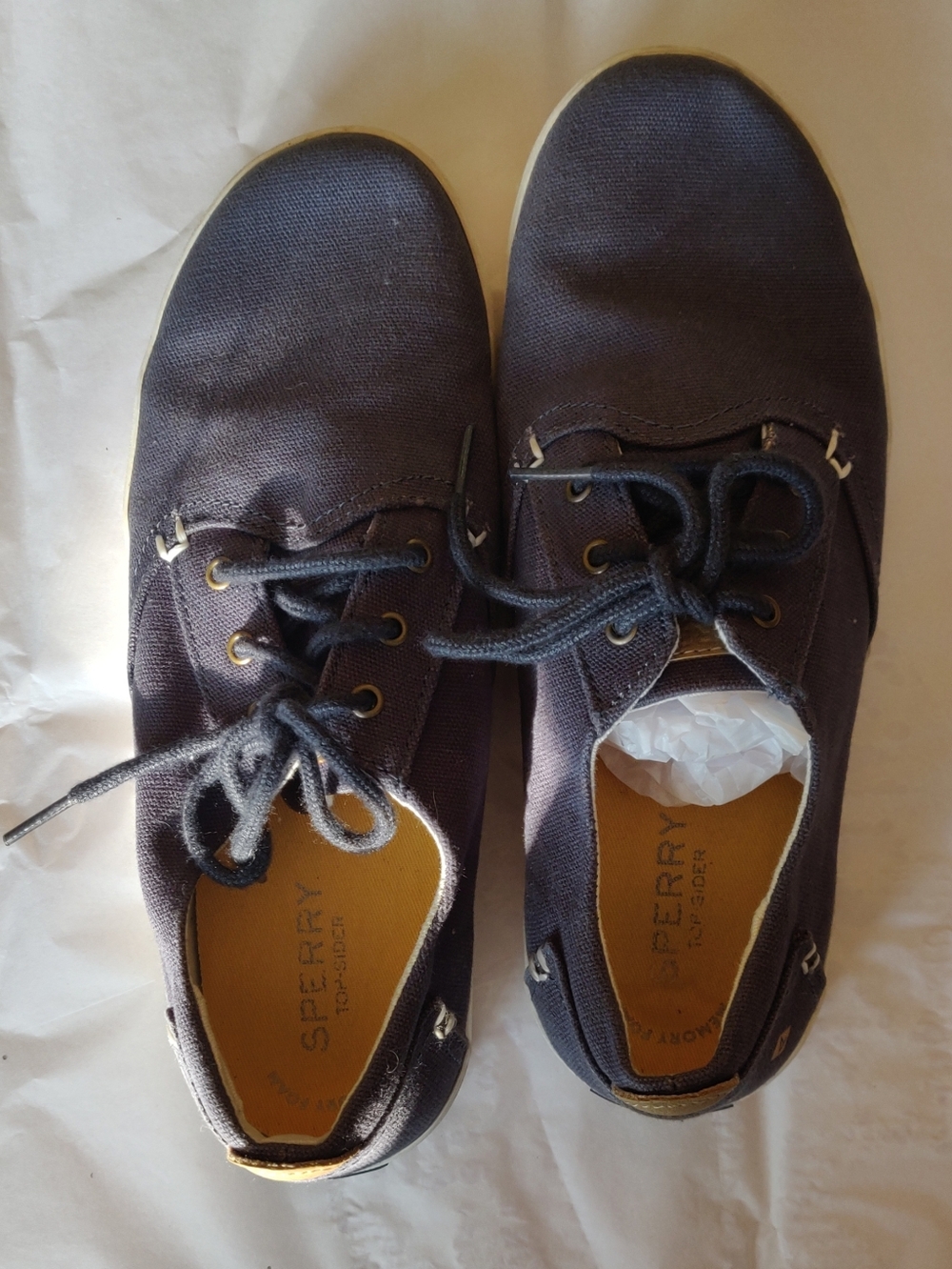 Sperry Bodie Men's Canvas Lace-Up Sneakers in Navy Denim